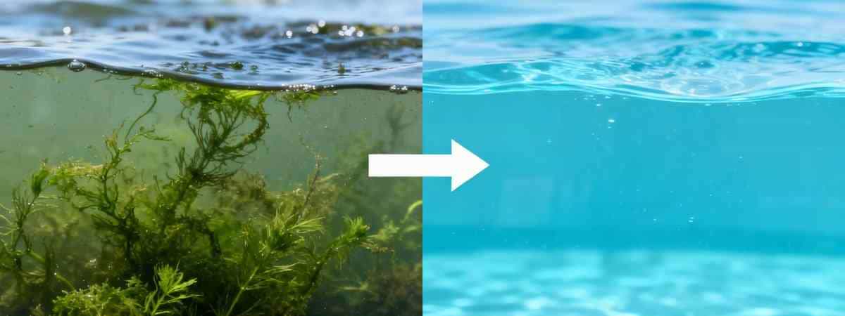 jimeng-2025-11-11-2255-处理前后的水质对比，左侧显示浑浊有藻类的水，右侧显示清澈透明的水，中间有箭头指示…
