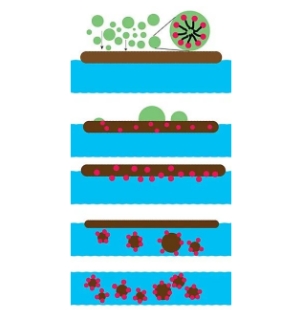 Mechanism of action of dispersants - www.zzcleanchem.com