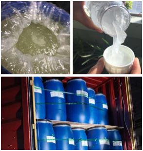 SLES Shipment Dispatched