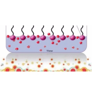 Surfactants in personal care